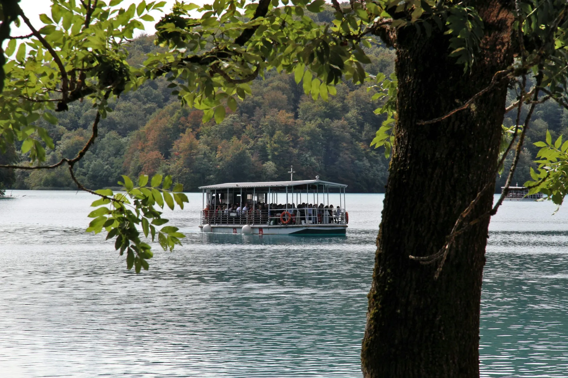 Elektromos hajó és erdős tavak a Plitvicei-tavak Nemzeti Parkban